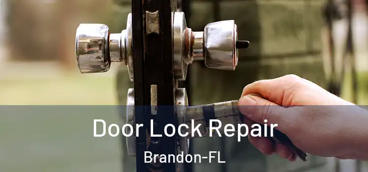 Door Lock Repair Brandon-FL