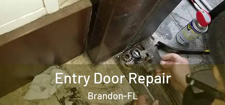  Entry Door Repair Brandon-FL