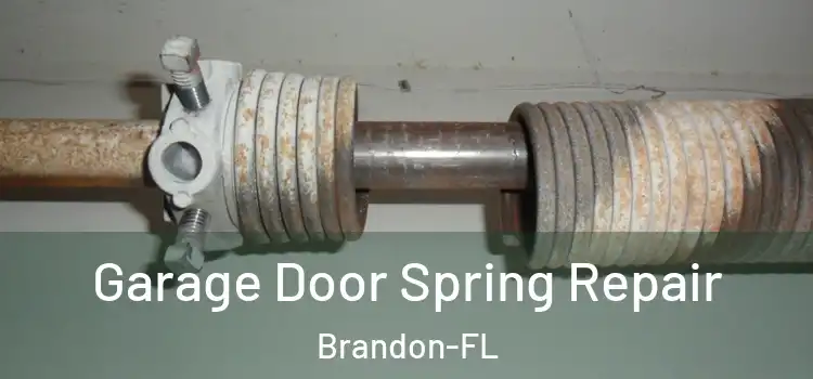  Garage Door Spring Repair Brandon-FL