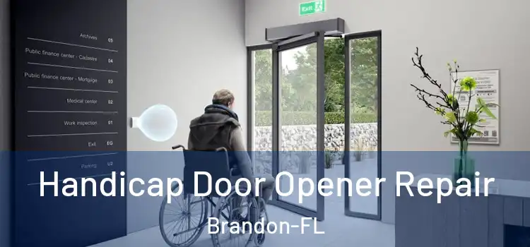  Handicap Door Opener Repair Brandon-FL