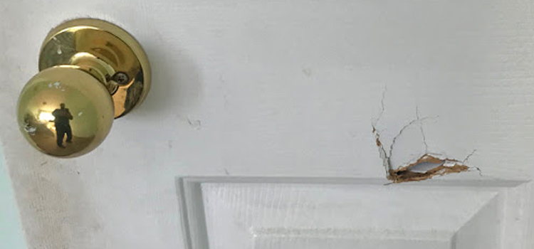 interior door hole repair Brandon