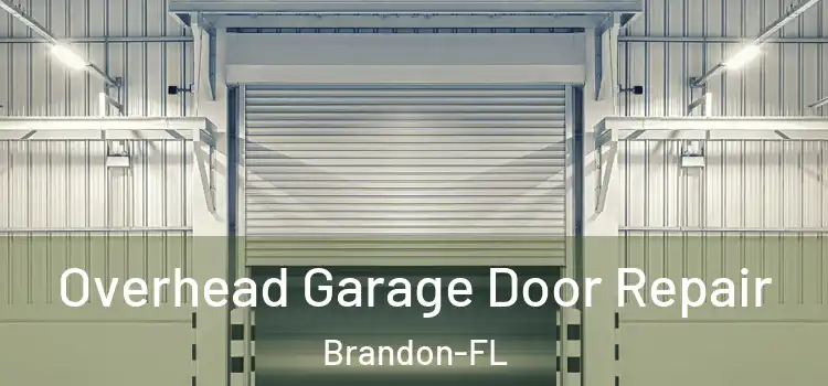  Overhead Garage Door Repair Brandon-FL