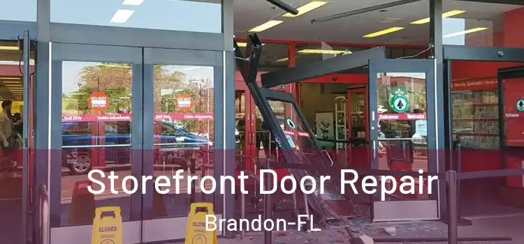  Storefront Door Repair Brandon-FL